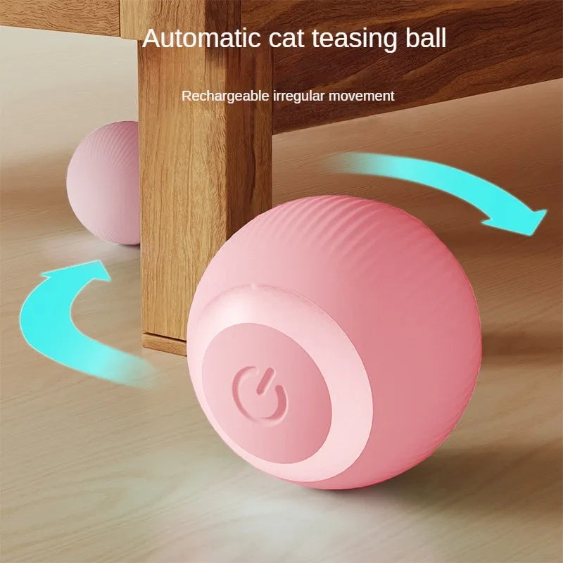  Cats Toy Interactive Ball